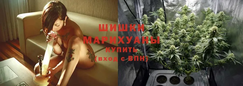 купить наркоту  Ногинск  Конопля Ganja 